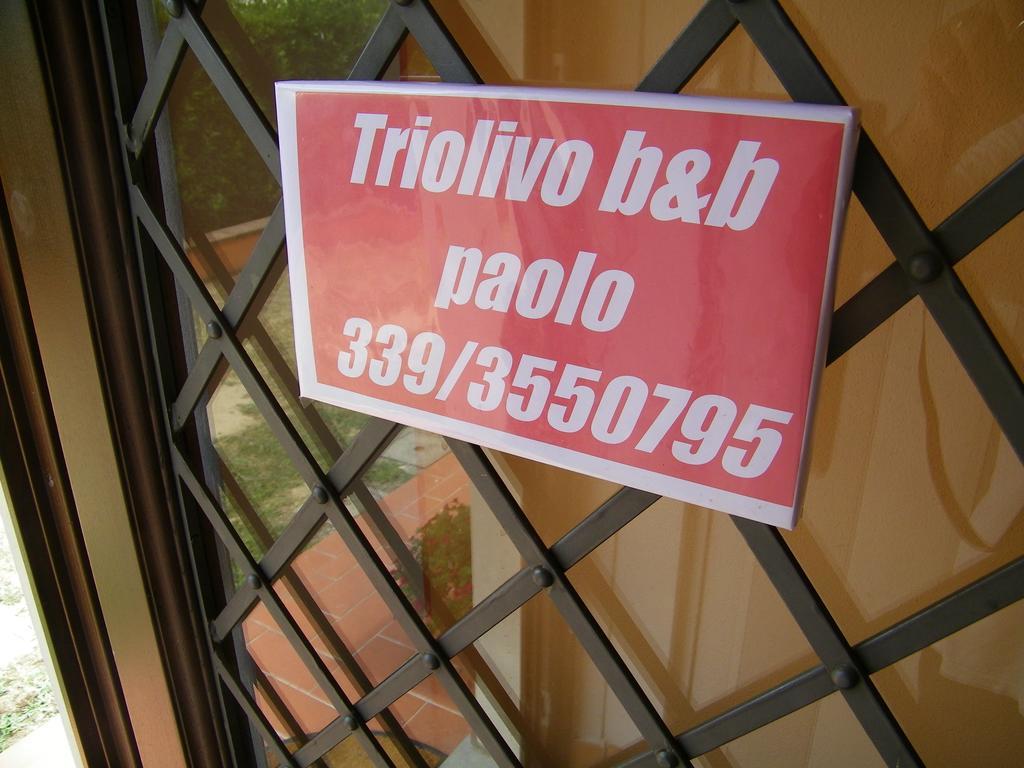 Triolivo B&B Lukka Zewnętrze zdjęcie